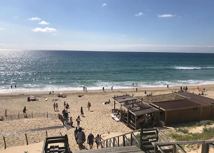Au Calme A 400 M De La Mimizan-Plage